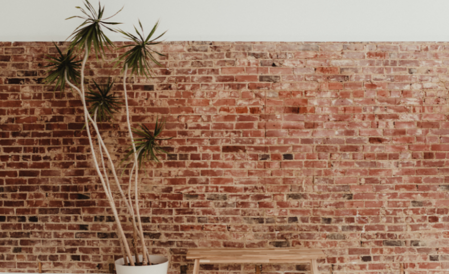 plant against brick wall